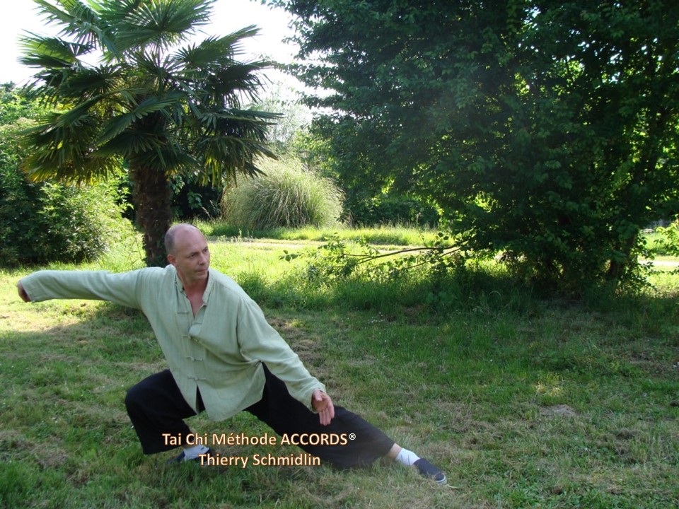 Cours de Tai Chi avec Thierry Schmidlin - Posture du Serpent qui Rampe – Tai Chi ACCORDS